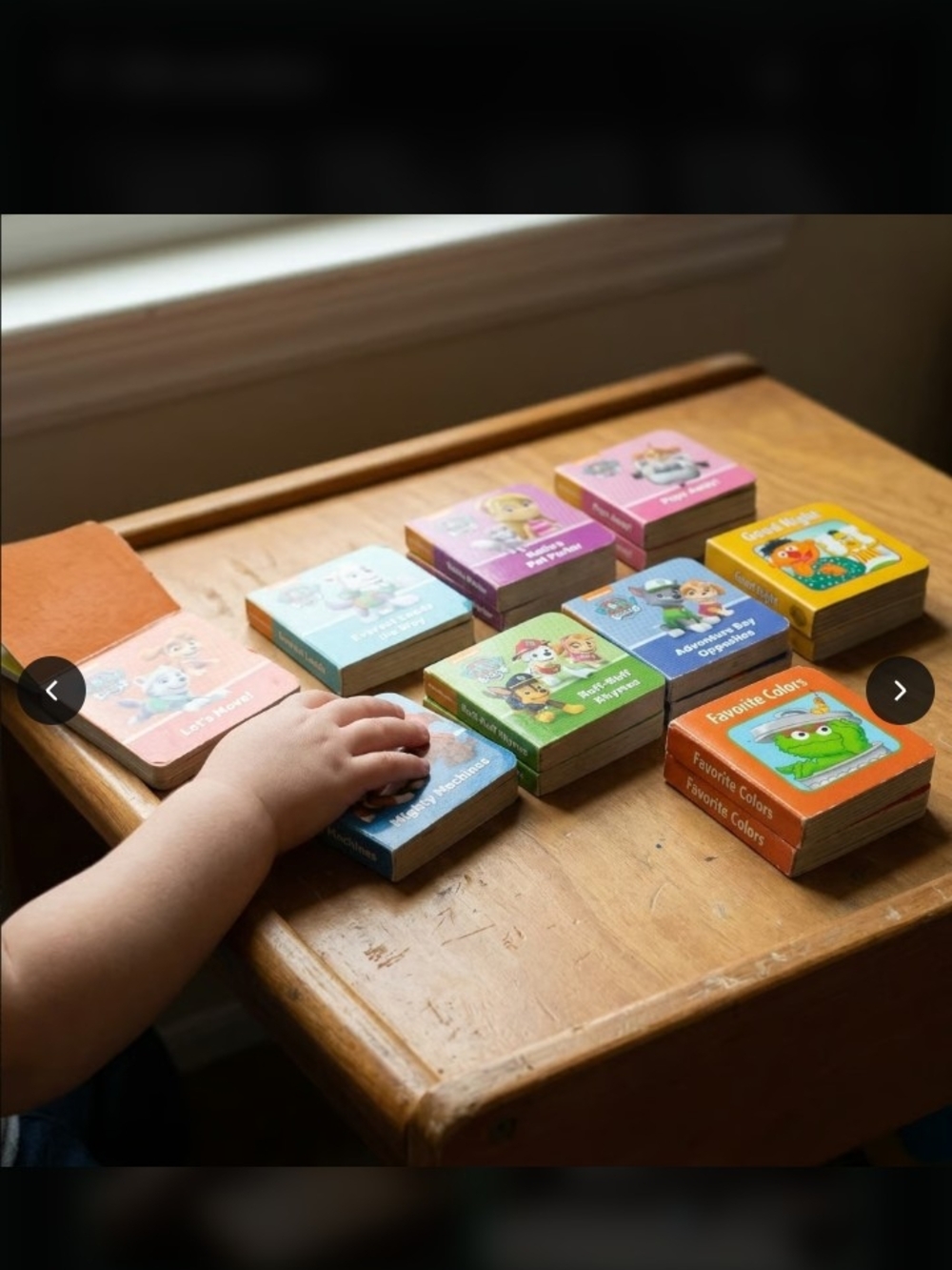 Paw Patrol And Sesame Street Board Book Mini Set - Lot Of 9